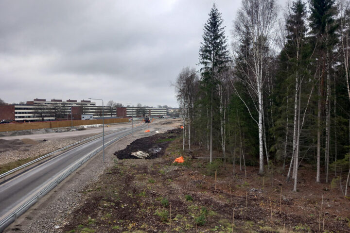 DET KROSSANDE. Adam Svedlund har skrivit en essä som utgår från en personlig erfarenhet av landskapets förändring och diskuterar beständighet, konservatismens filosofiska hållning och vår tids instrumentella syn på världen.