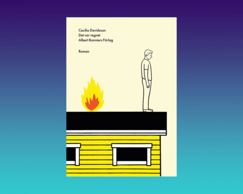 "Cecilia Davidsson är mästerlig i att skildra en vardag som brister och faller samman," skriver Bo Bjelvehammar som läst hennes nya roman.