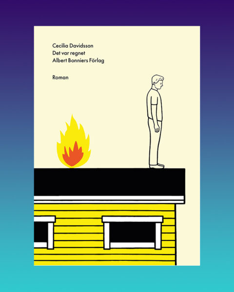 "Cecilia Davidsson är mästerlig i att skildra en vardag som brister och faller samman," skriver Bo Bjelvehammar som läst hennes nya roman.