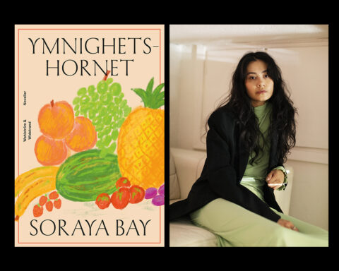 ”Soraya Bays debut är både stil- och träffsäker och säger mycket om vår tid. Det råder inget tvivel om vad hon vill säga.” Det skriver Carolina Thelin som läst novellerna i ”Ymnighetshornet”.