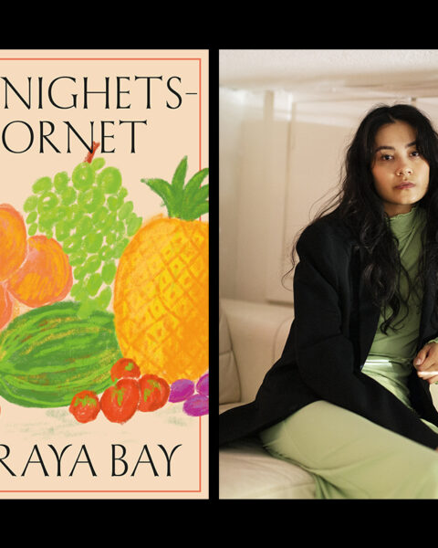 ”Soraya Bays debut är både stil- och träffsäker och säger mycket om vår tid. Det råder inget tvivel om vad hon vill säga.” Det skriver Carolina Thelin som läst novellerna i ”Ymnighetshornet”.
