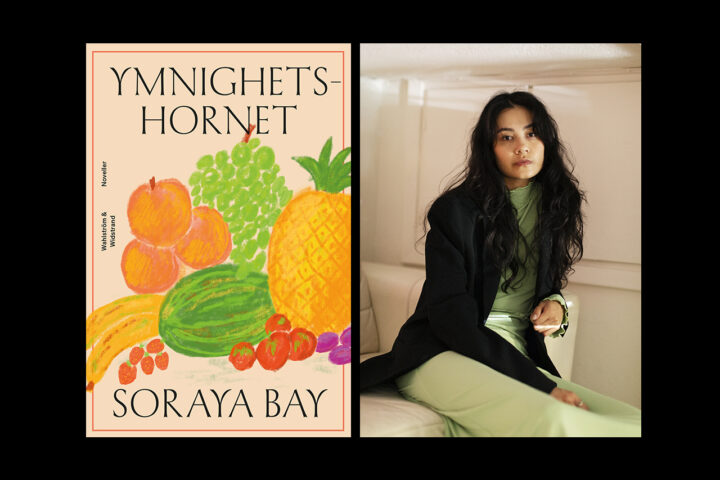 ”Soraya Bays debut är både stil- och träffsäker och säger mycket om vår tid. Det råder inget tvivel om vad hon vill säga.” Det skriver Carolina Thelin som läst novellerna i ”Ymnighetshornet”.
