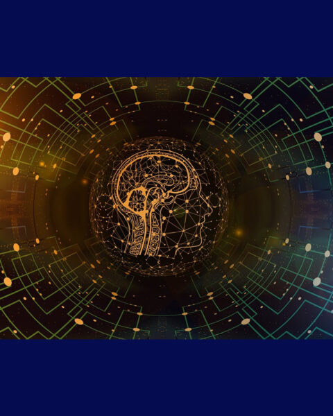 AI. I sitt svar på Olle Häggströms senaste inlägg framhåller Patrik Stigsson sin tilltro till de spontana ordningar som uppstår när intelligens – mänsklig såväl som artificiell – ges utrymme att verka fritt. AI, AI-debatt, artificiell intelligens, Patrik Stigsson, Nette Wermeld Enström, Olle Häggström, Patrik Stigsson,