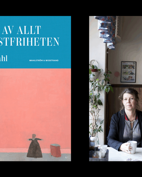 Lina Ekdahl har skrivit en läsvärd och infallsrik diktsamling, som ger goda och associationsrika tankar.” Det skriver Bo Bjelvehammar, som läst poetens nya bok.