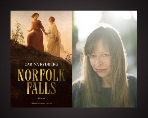 Carina Rydbergs nya roman ”Norfolk Falls” är högst läsvärd för den som gillar både historiska romaner och klassiskt utformad skräcklitteratur. Det skriver Elisabeth Brännström.