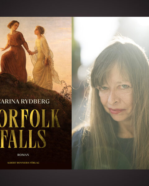 Carina Rydbergs nya roman ”Norfolk Falls” är högst läsvärd för den som gillar både historiska romaner och klassiskt utformad skräcklitteratur. Det skriver Elisabeth Brännström.