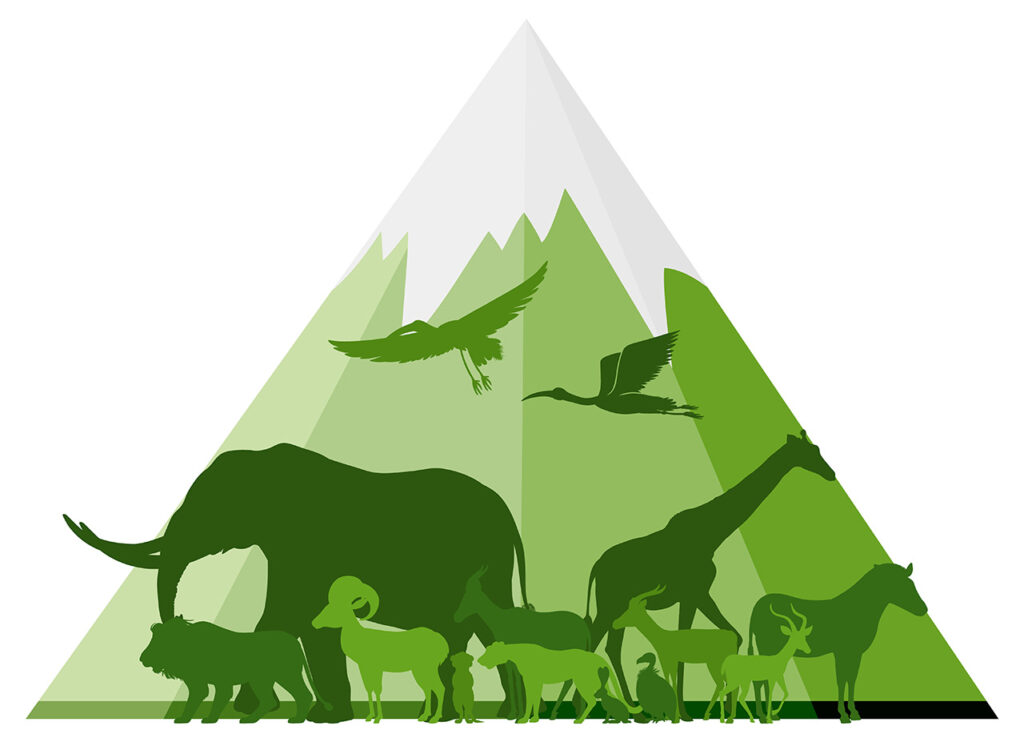 RÄTTIGHETER. ”För att en respektfull och icke-antropocentrisk världsbild ska kunna bli en realitet måste synen på andra arter förändras och vi behöver erkänna deras egenvärde oavsett nyttan för människan.” Det skriver Kerstin Malm, fil doktor i etologi.