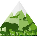 RÄTTIGHETER. ”För att en respektfull och icke-antropocentrisk världsbild ska kunna bli en realitet måste synen på andra arter förändras och vi behöver erkänna deras egenvärde oavsett nyttan för människan.” Det skriver Kerstin Malm, fil doktor i etologi.