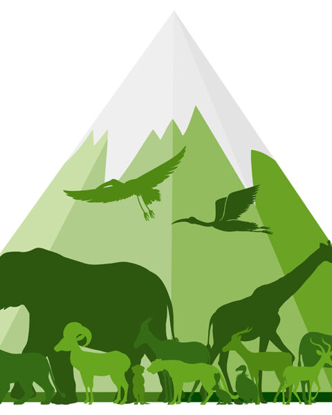 RÄTTIGHETER. ”För att en respektfull och icke-antropocentrisk världsbild ska kunna bli en realitet måste synen på andra arter förändras och vi behöver erkänna deras egenvärde oavsett nyttan för människan.” Det skriver Kerstin Malm, fil doktor i etologi.