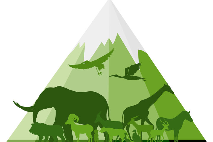 RÄTTIGHETER. ”För att en respektfull och icke-antropocentrisk världsbild ska kunna bli en realitet måste synen på andra arter förändras och vi behöver erkänna deras egenvärde oavsett nyttan för människan.” Det skriver Kerstin Malm, fil doktor i etologi.