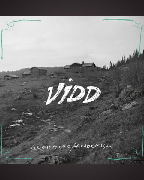 FOLKMUSIK. Bo Bjelvehammar lyssnar på ”Vidd” med duon Goodacre/Andersson och njuter av dynamiken och variationsrikedomen. John-Francis Goodacre och Anna-Karin Andersson,