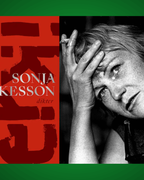 LYRIK. Denna dag skulle poeten Sonja Åkesson ha fyllt 100 år. Lis Lovén skriver om en författare som gjorde sitt liv till dikt.
