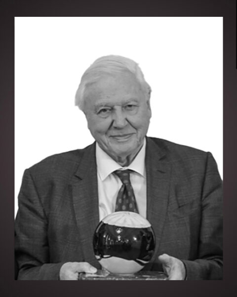 TV. David Attenborough fyller 100 år i dag. Jesper Nordström reflekterar över den brittiske zoologens genomslagskraft som tv-kändis.