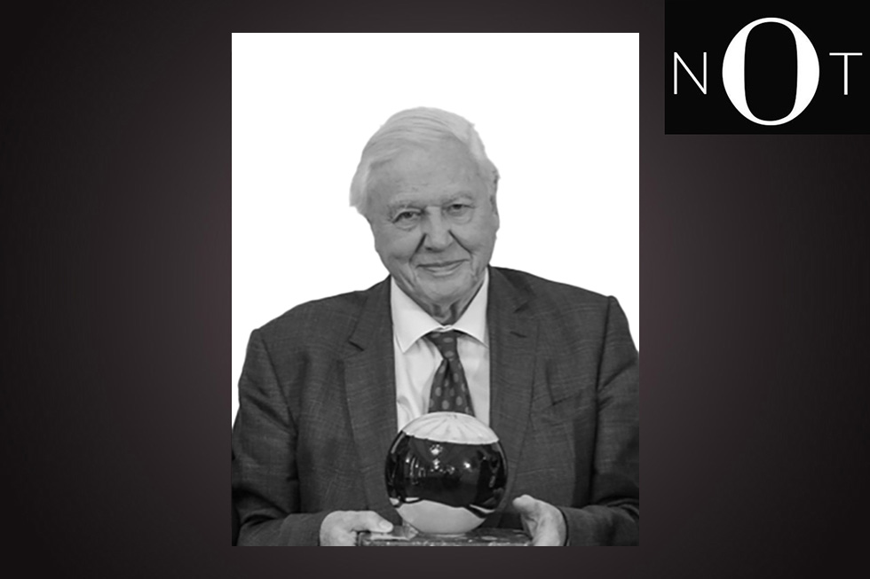 TV. David Attenborough fyller 100 år i dag. Jesper Nordström reflekterar över den brittiske zoologens genomslagskraft som tv-kändis.