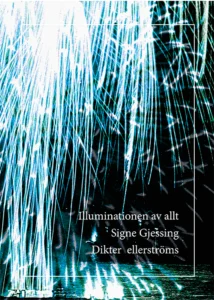 ”Signe Gjessings djärva och oförutsägbara poesi skapar en stark närvarokänsla,” skriver Erik Bovin, som läst den visionära diktsamlingen ”Illuminationen av allt”. Han finner den ytterst läsvärd.