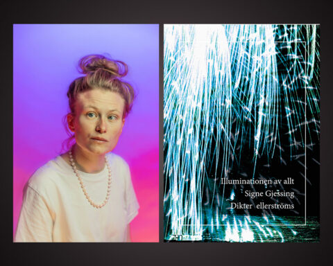 ”Signe Gjessings djärva och oförutsägbara poesi skapar en stark närvarokänsla,” skriver Erik Bovin, som läst den visionära diktsamlingen ”Illuminationen av allt”. Han finner den ytterst läsvärd.