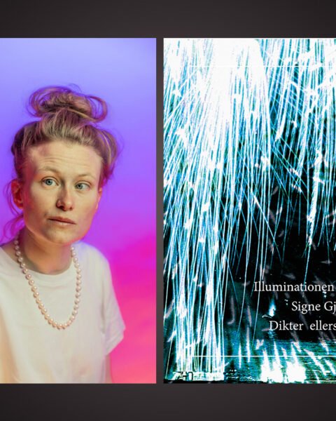 ”Signe Gjessings djärva och oförutsägbara poesi skapar en stark närvarokänsla,” skriver Erik Bovin, som läst den visionära diktsamlingen ”Illuminationen av allt”. Han finner den ytterst läsvärd.