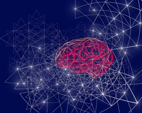 AI. Nyligen varnade David Rönnegård här i Opulens för farorna med den skenande utvecklingen av AI. Nu skriver Olle Häggström, professor i matematisk statistik, om en klyfta bland AI-utvecklingens kritiker. Men betonar vikten av att hejda utvecklingen.