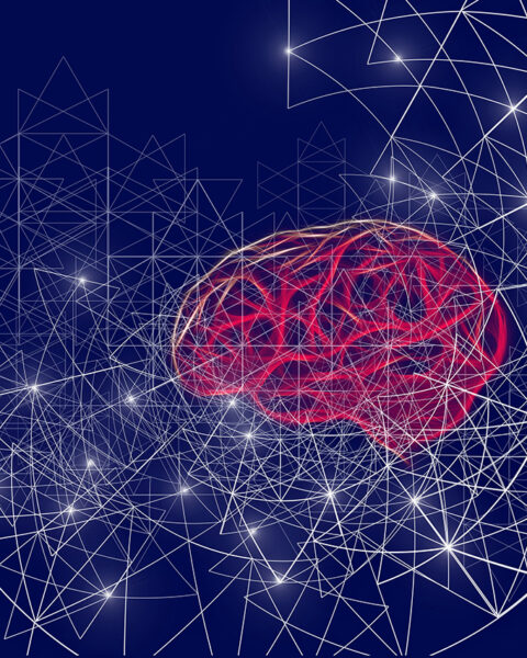 AI. Nyligen varnade David Rönnegård här i Opulens för farorna med den skenande utvecklingen av AI. Nu skriver Olle Häggström, professor i matematisk statistik, om en klyfta bland AI-utvecklingens kritiker. Men betonar vikten av att hejda utvecklingen.