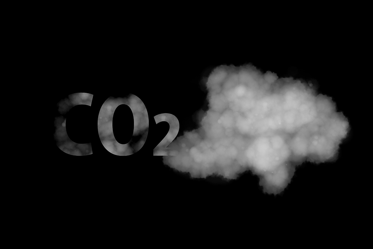 Klimatfrågan en gång för alla. Människor flyr i tiotusental skogsbränderna i södra Europa. EU-kommissionen har fastslagit att bränderna kan kopplas till klimatförändringarna. Ändå finns det "klimatskeptiker". Carsten Palmer Schale reder ut klimatfrågan.