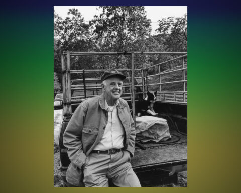 LYRIK. Nu har vi glädjen att presentera den amerikanske diktaren Wendell Berry med en dikt i översättning av Niklas Törnlund som också skrivit en kort introduktion.