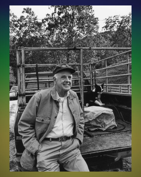 LYRIK. Nu har vi glädjen att presentera den amerikanske diktaren Wendell Berry med en dikt i översättning av Niklas Törnlund som också skrivit en kort introduktion.