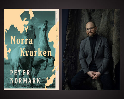 PETER NORMARK. ”Norra Kvarken” är en ny roman med västerbottenstema av Peter Normark. Elisabeth Brännström uppskattar hans berättarkonst och njuter därtill av ”en bländande vacker